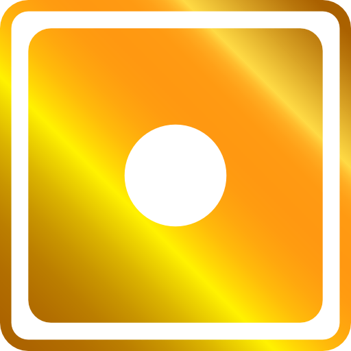 Record icon