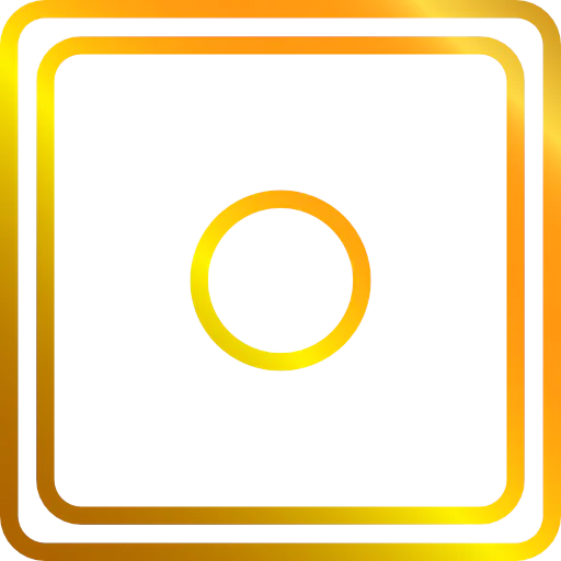 Record icon