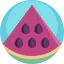 Watermelon icon 64x64