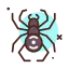 Spider Ikona 64x64