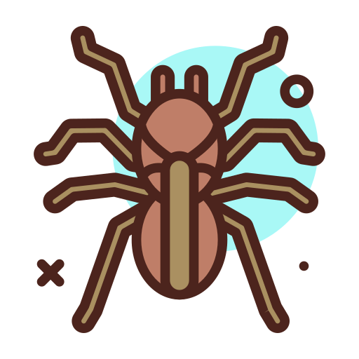 Tarantula icon