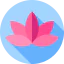Lotus icon 64x64