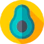Avocado icon 64x64
