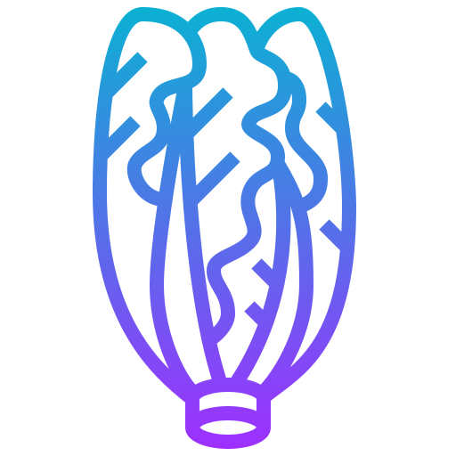 Lettuce icon