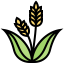 Wheat icon 64x64