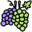 Grapes icon 64x64