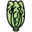 Lettuce icon 64x64