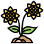 Sunflower icon 64x64