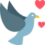 Dove icon 64x64