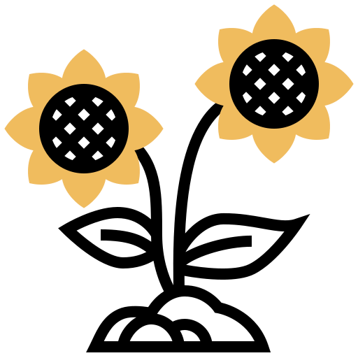 Sunflower icon