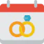 Wedding day icon 64x64