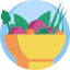 Salad icon 64x64