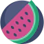 Watermelon icon 64x64