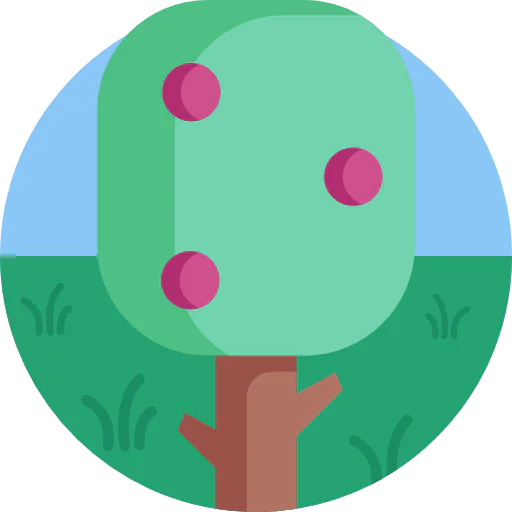 Apple tree icon