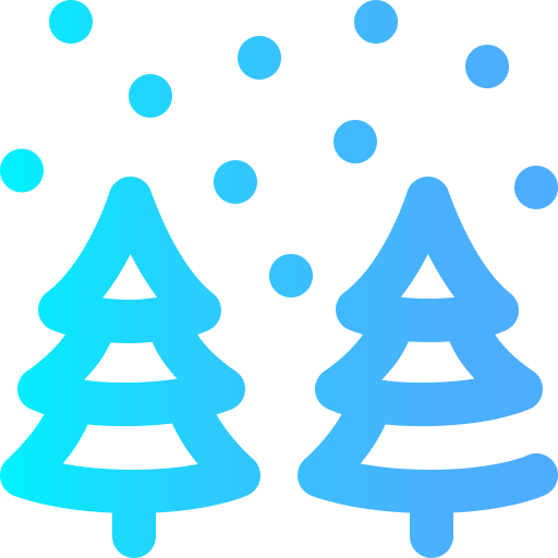 Winter icon