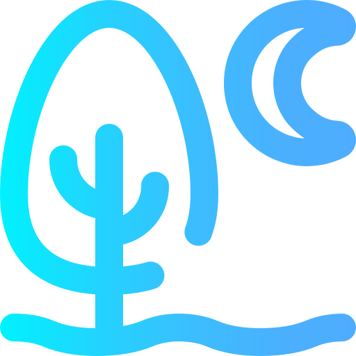 Night icon