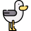 Seagull icon 64x64