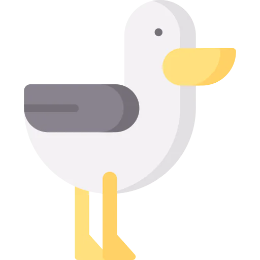 Seagull icon