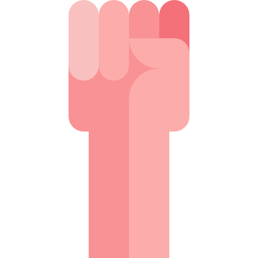 Punch icon