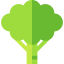 Broccoli icon 64x64