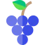 Grapes icon 64x64