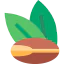 Argan icon 64x64