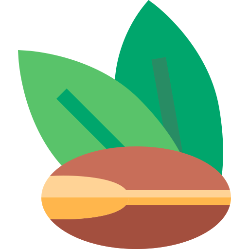 Argan icon