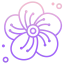 Flower Ikona 64x64