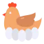 Hen icon 64x64