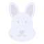 Rabbit icon 64x64