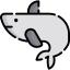 Whale Ikona 64x64