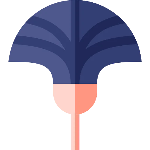 Duster icon
