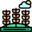 Wheat icon 64x64
