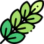 Leaves icon 64x64