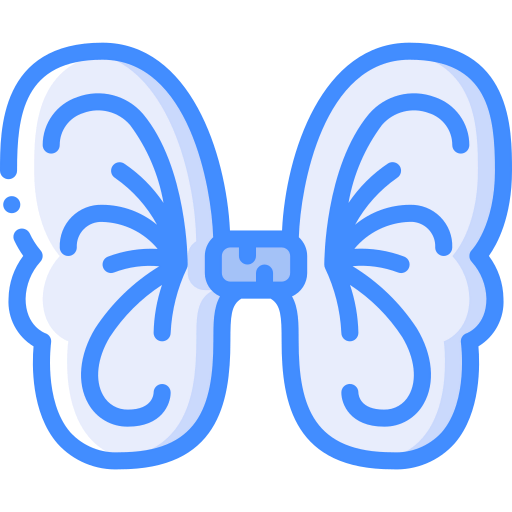 Wings icon