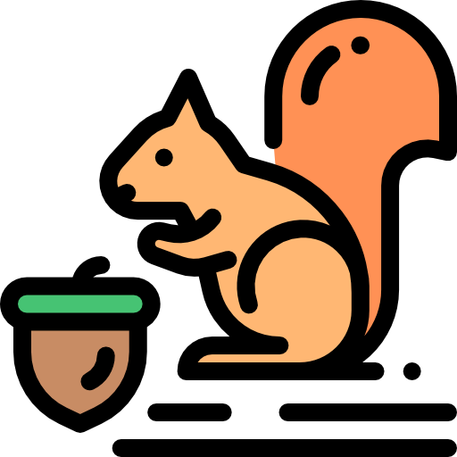 Squirrel icon