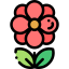 Flower icon 64x64