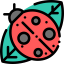 Ladybird icon 64x64