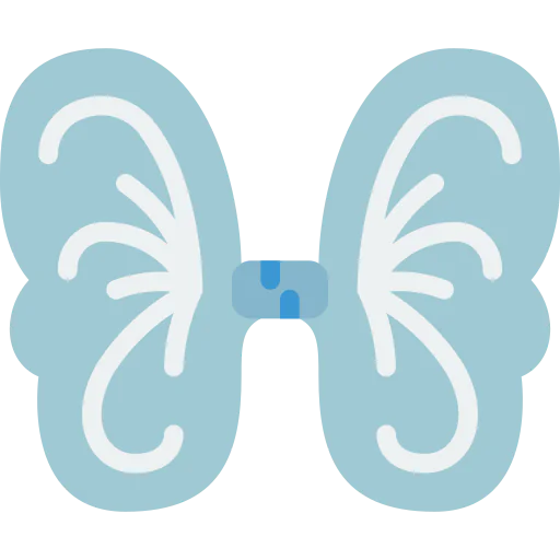 Wings icon