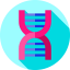 Dna icon 64x64