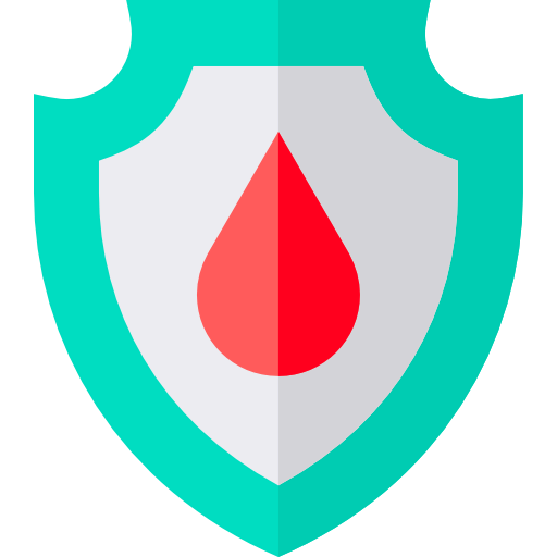 Shield icon