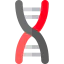 Dna icon 64x64