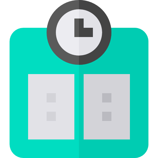 Scale icon