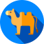 Camel icon 64x64