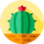 Cactus icon 64x64