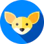 Fennec icon 64x64