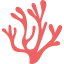 Seaweed icon 64x64