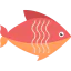 Fish icon 64x64