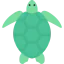 Turtle icon 64x64