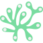 Seaweed icon 64x64